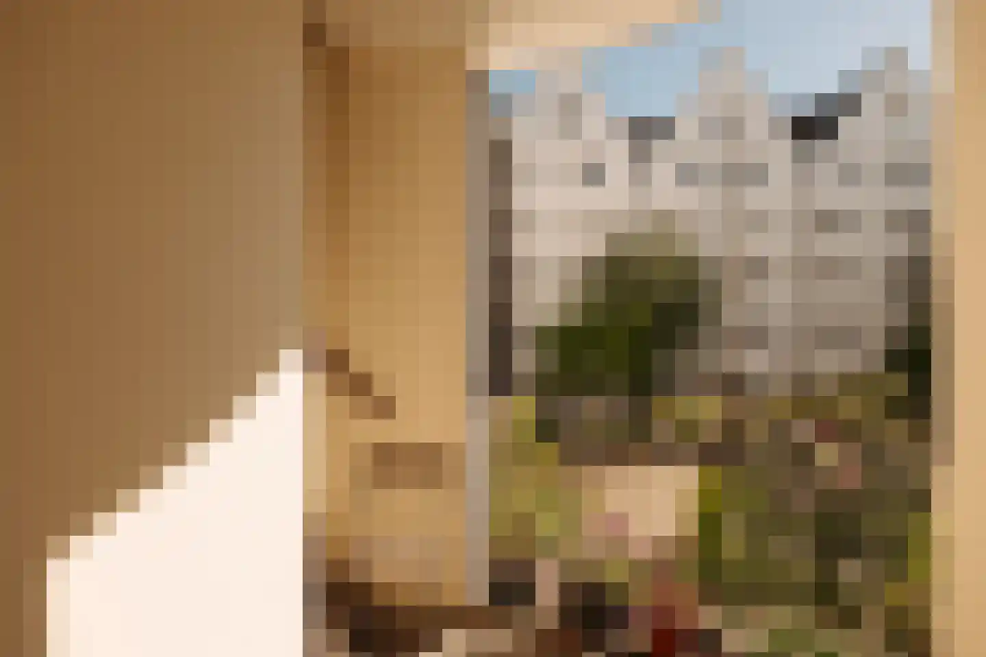 Realengracht 118 Amsterdam thumbnail 24