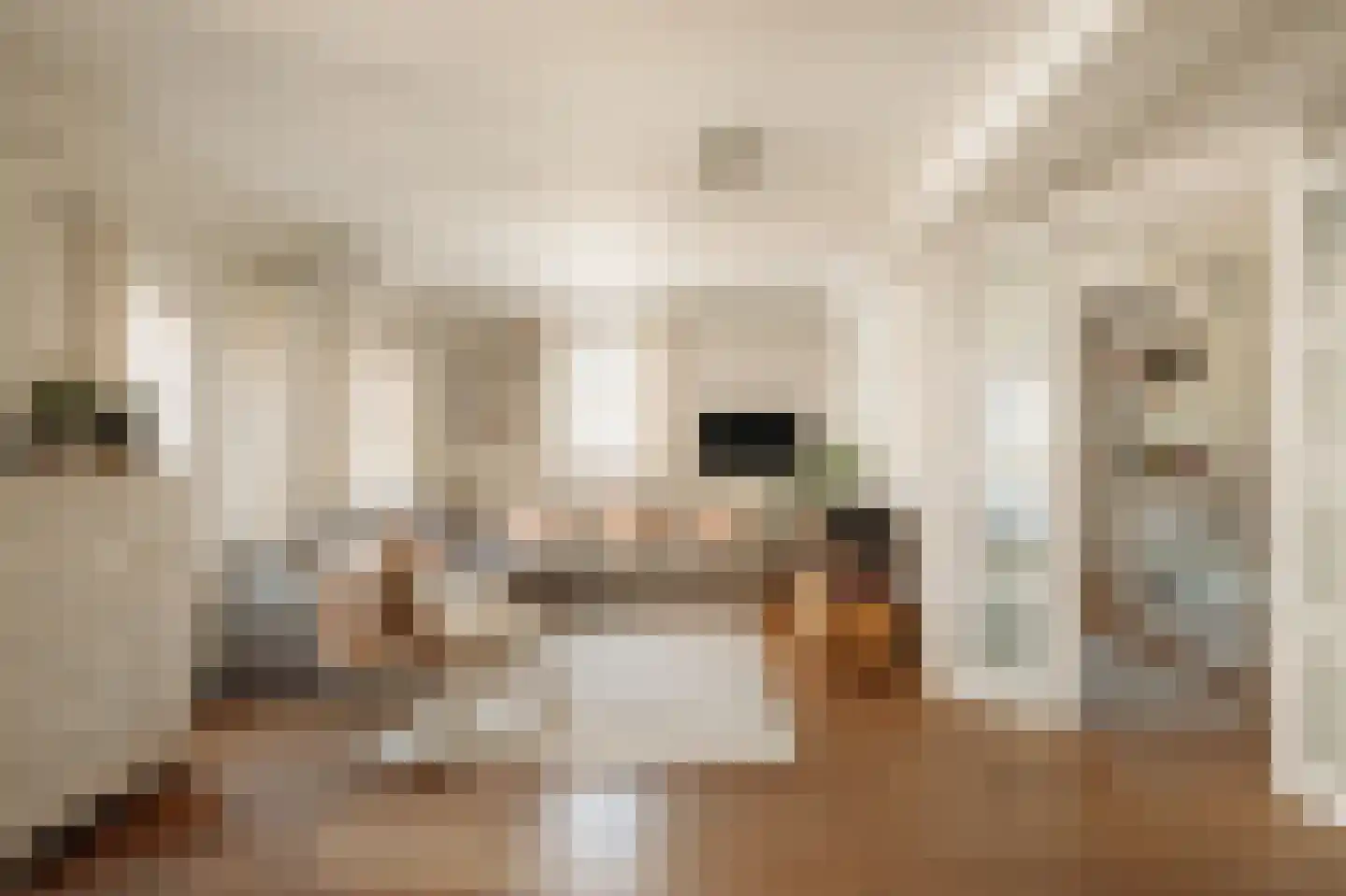 Realengracht 118 Amsterdam thumbnail 6