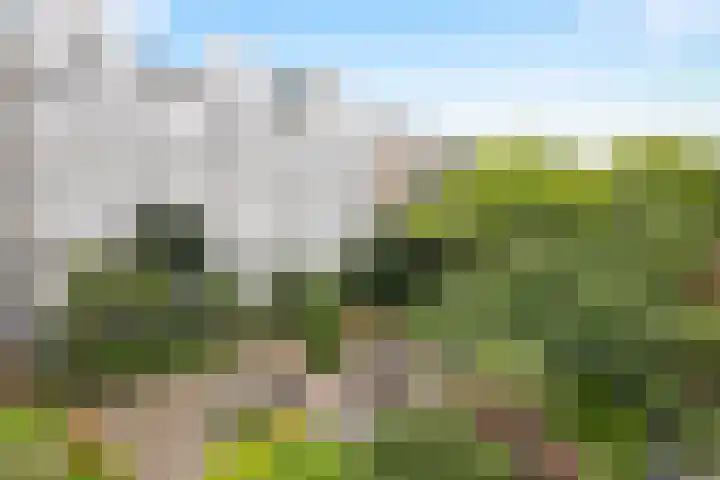 Realengracht 124 Amsterdam thumbnail 15