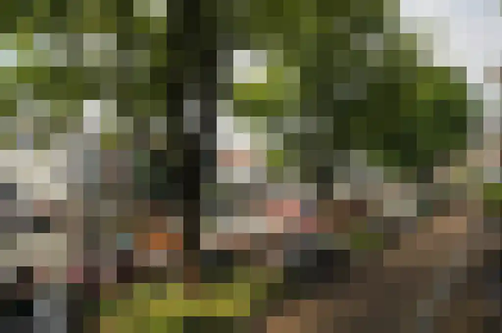 Realengracht 124 Amsterdam thumbnail 18