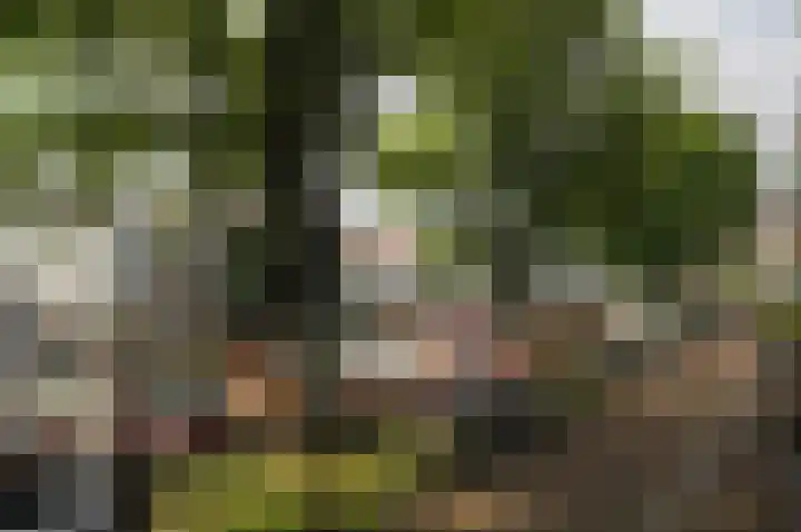 Realengracht 124 Amsterdam thumbnail 18