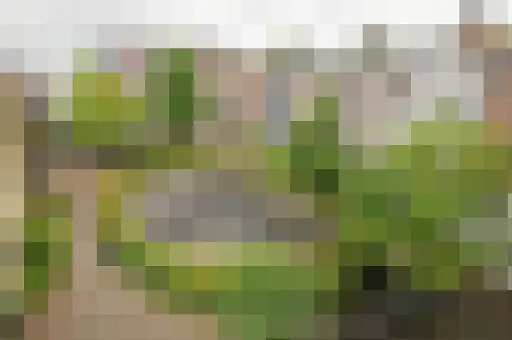 Realengracht 124 Amsterdam thumbnail 20