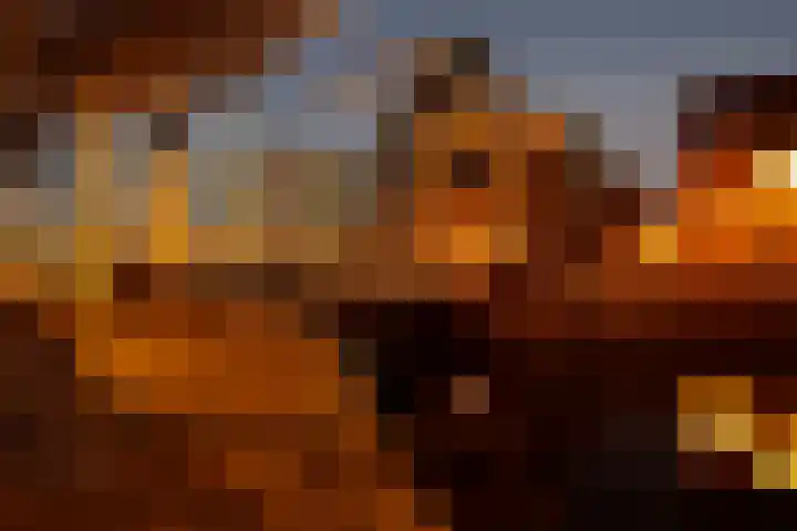 Realengracht 124 Amsterdam thumbnail 22