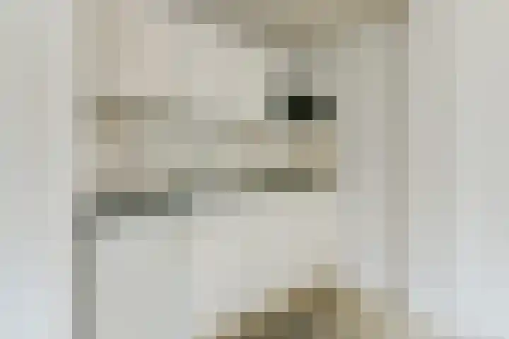 Realengracht 124 Amsterdam thumbnail 7