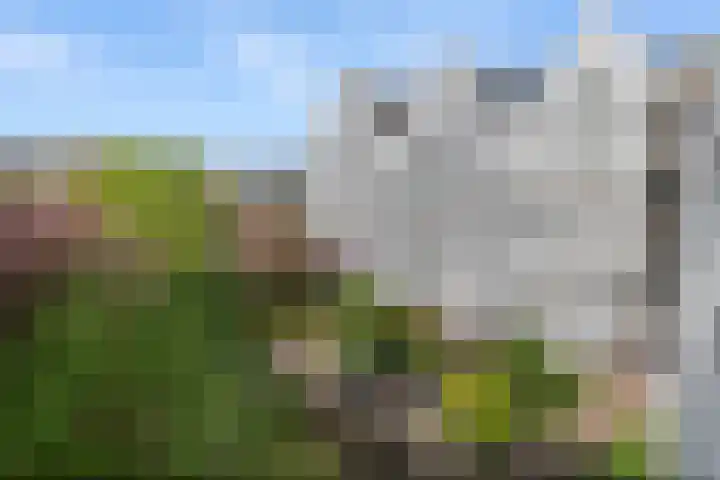Realengracht 138 Amsterdam thumbnail 19