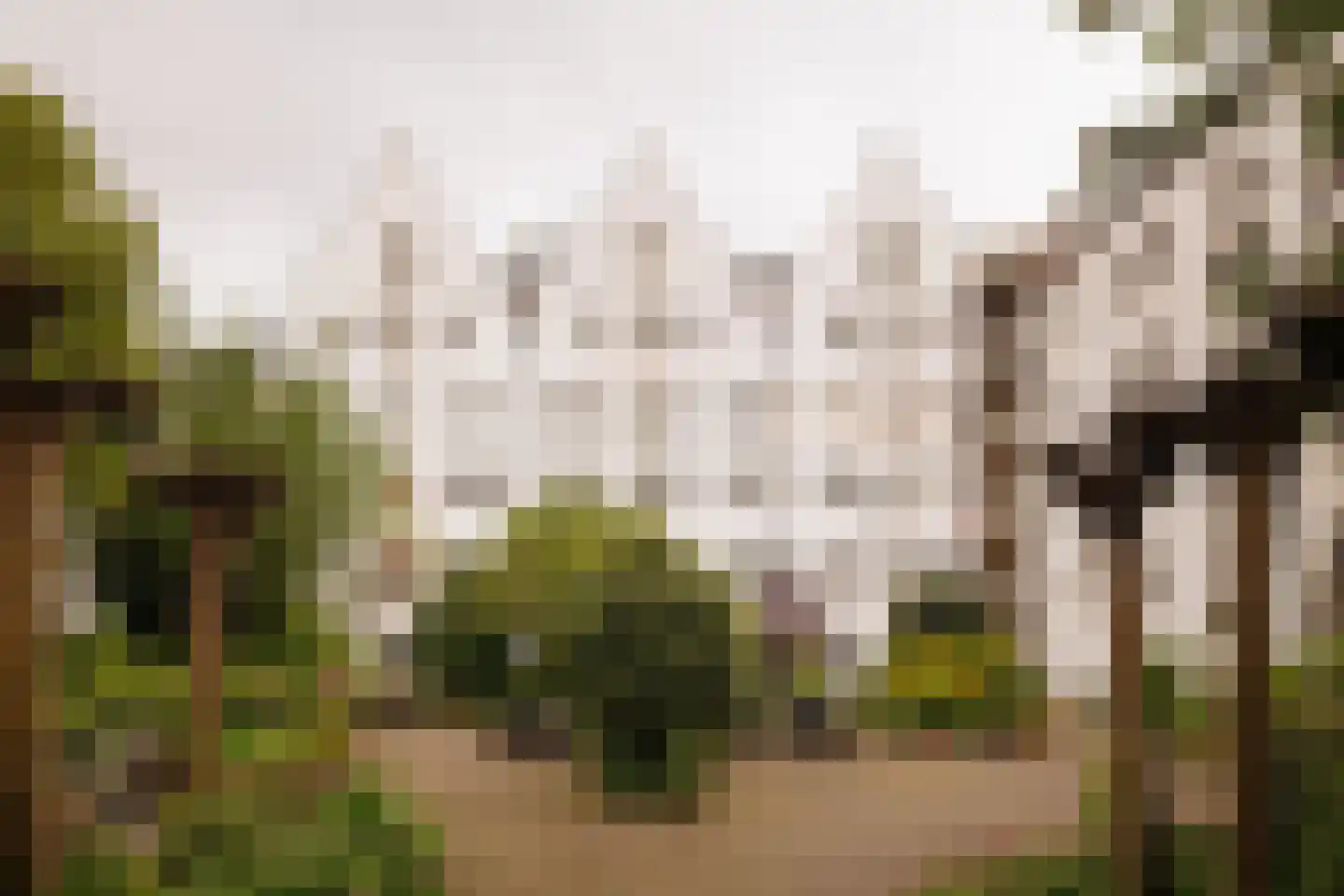 Realengracht 174 Amsterdam thumbnail 22