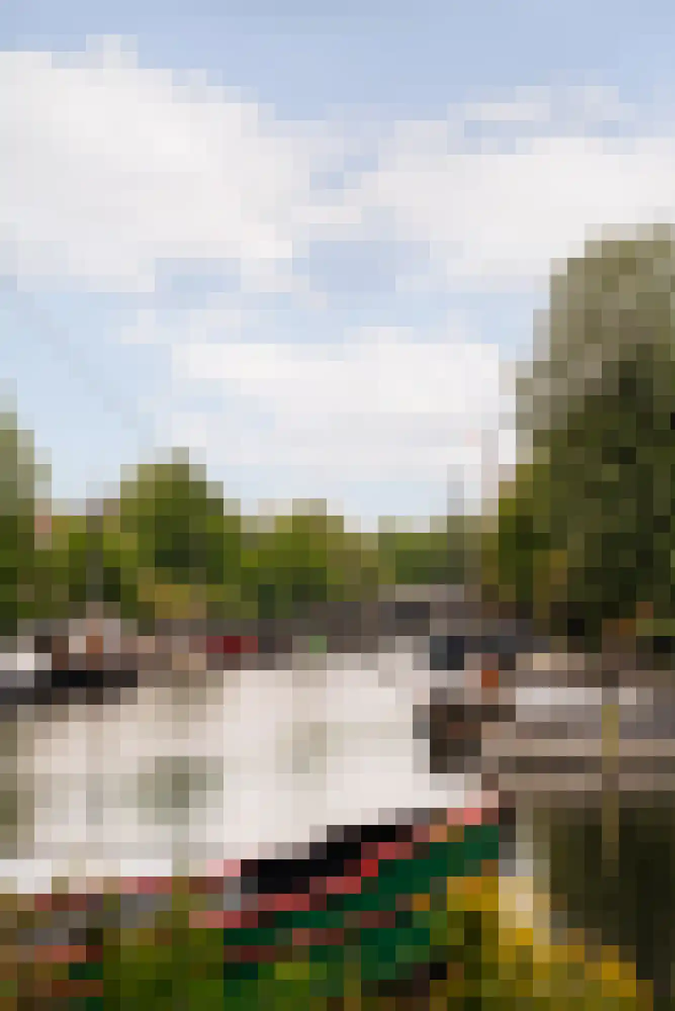 Realengracht 174 Amsterdam thumbnail 23
