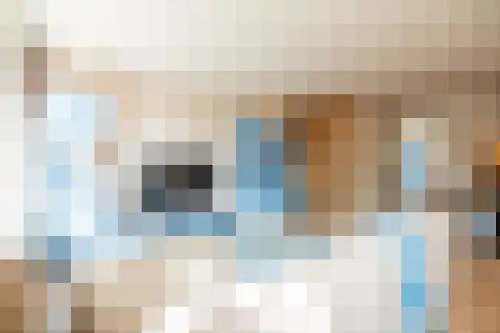 Realengracht 2 1 Amsterdam thumbnail 11