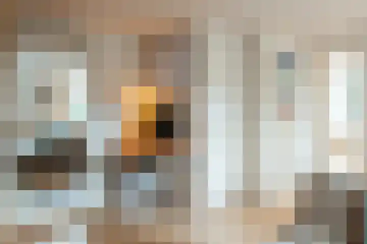 Realengracht 2 1 Amsterdam thumbnail 13
