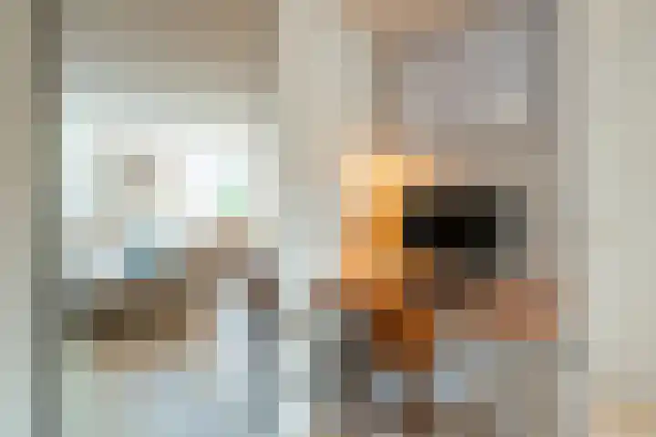 Realengracht 2 1 Amsterdam thumbnail 14