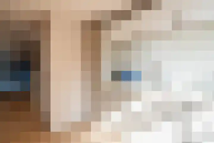 Realengracht 2 1 Amsterdam thumbnail 20