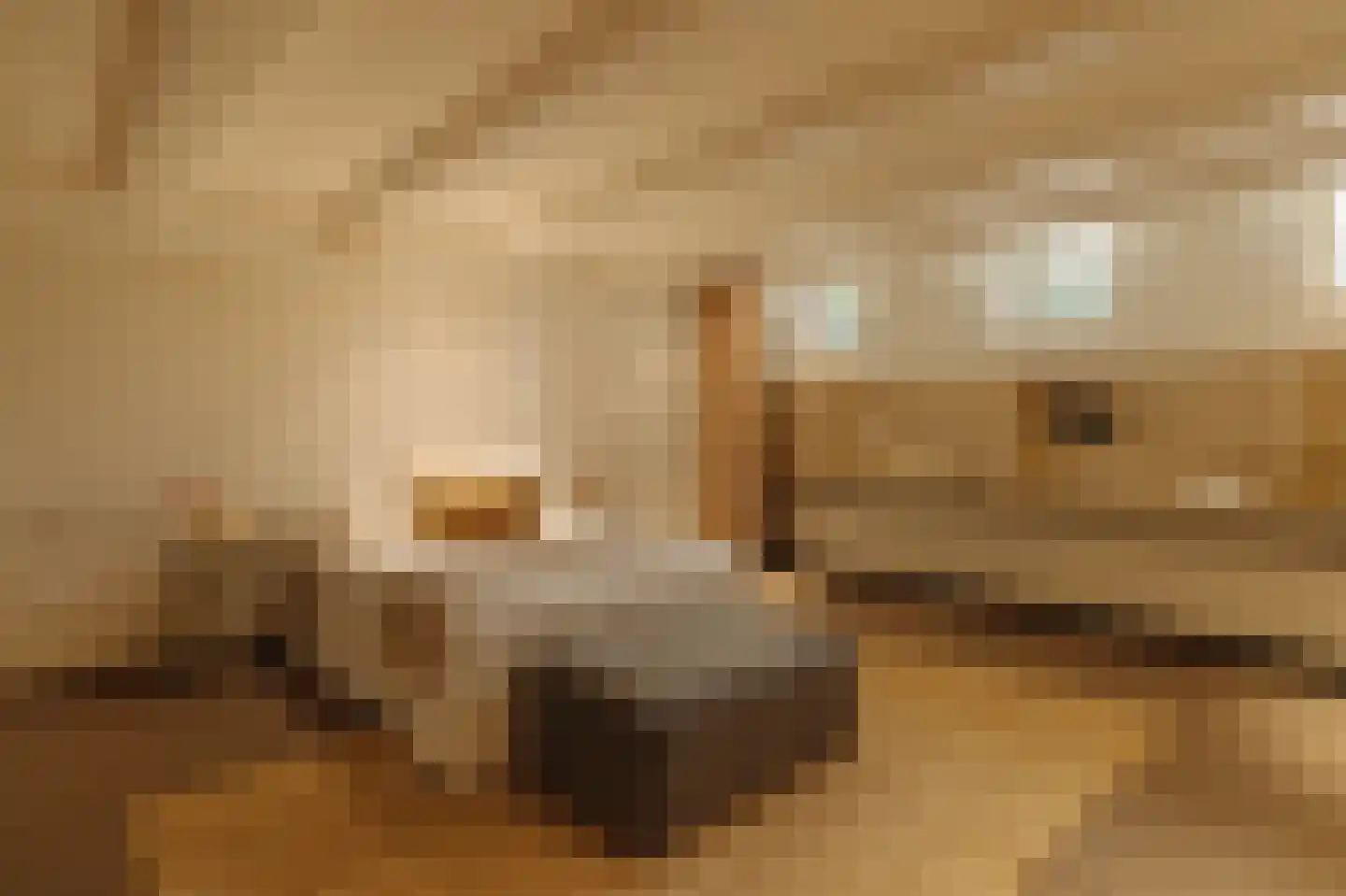 Realengracht 30 Amsterdam thumbnail 33