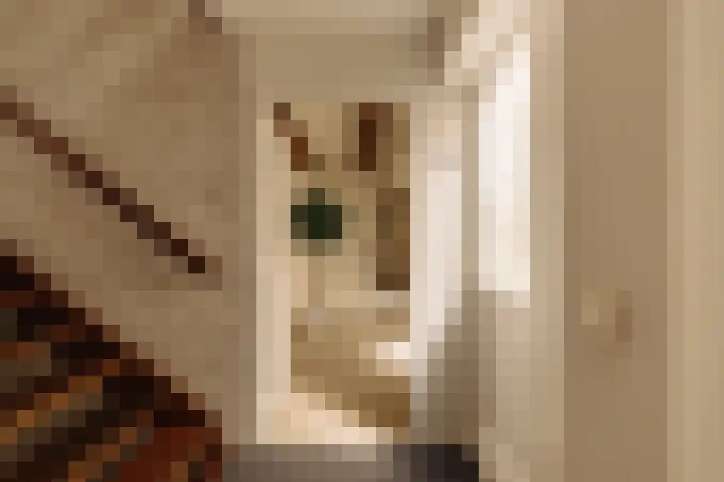 Realengracht 30 Amsterdam thumbnail 35