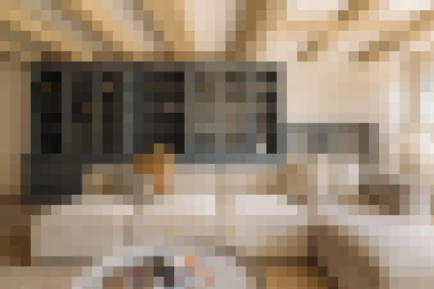 Realengracht 30 Amsterdam thumbnail 5