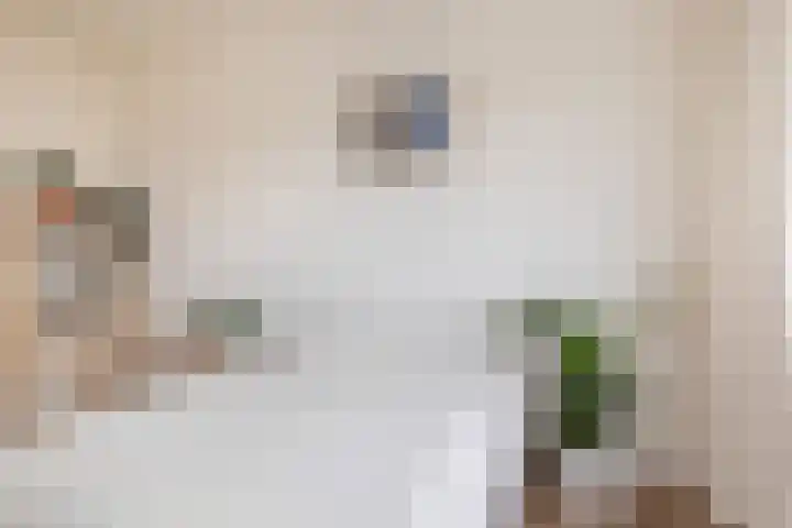 Réaumurlaan 10 2 Utrecht thumbnail 12