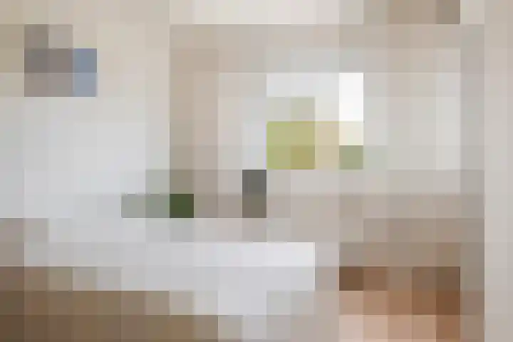 Réaumurlaan 10 2 Utrecht thumbnail 13