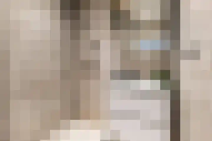 Réaumurlaan 10 2 Utrecht thumbnail 14