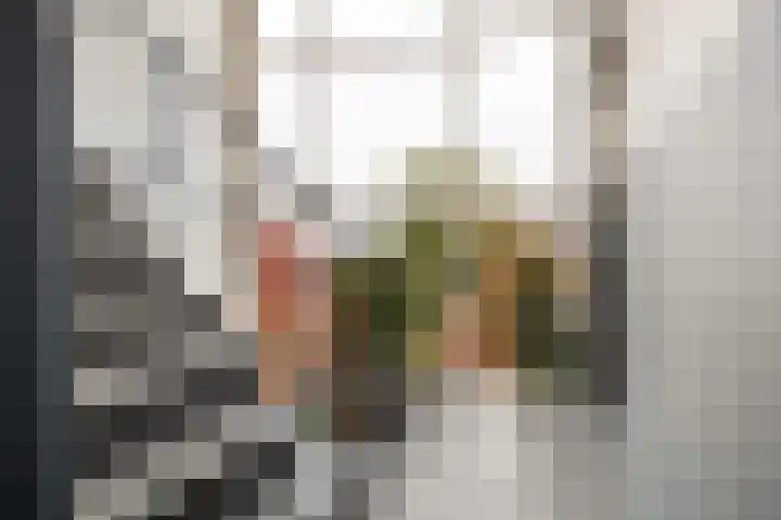 Réaumurlaan 10 2 Utrecht thumbnail 17