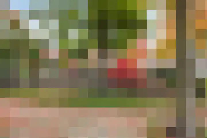 Réaumurlaan 10 2 Utrecht thumbnail 20