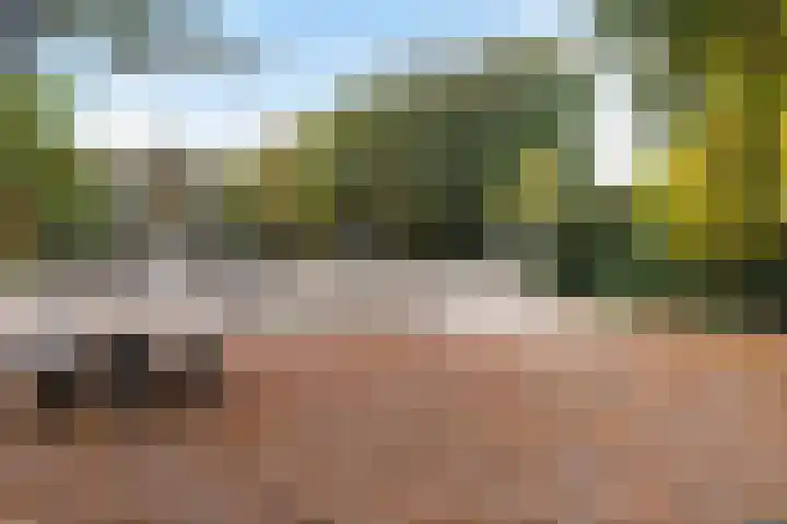 Réaumurlaan 10 2 Utrecht thumbnail 22