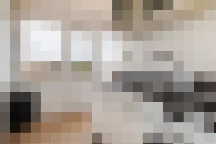Réaumurlaan 10 2 Utrecht thumbnail 5