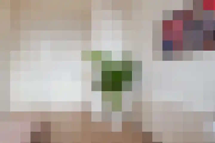 Réaumurlaan 10 2 Utrecht thumbnail 7