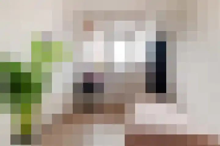 Réaumurlaan 10 2 Utrecht thumbnail 8