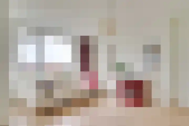 Réaumurlaan 12 2 Utrecht thumbnail 10