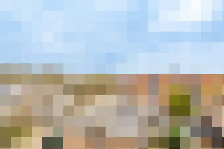 Réaumurlaan 12 2 Utrecht thumbnail 17