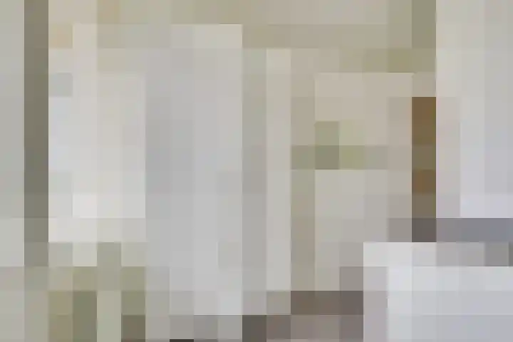 Réaumurlaan 12 2 Utrecht thumbnail 24