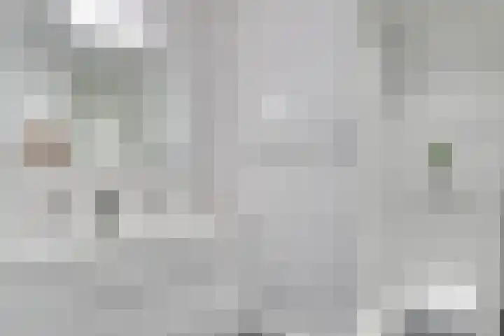 Réaumurlaan 12 2 Utrecht thumbnail 33