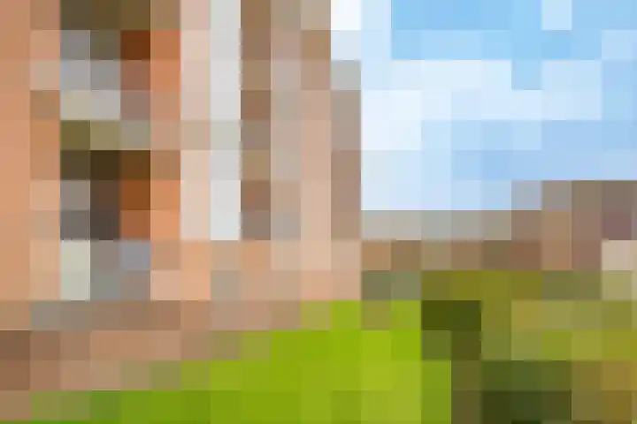 Réaumurlaan 12 2 Utrecht thumbnail 39