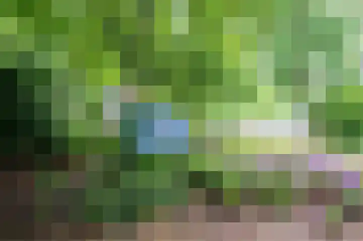 Réaumurlaan 12 2 Utrecht thumbnail 46