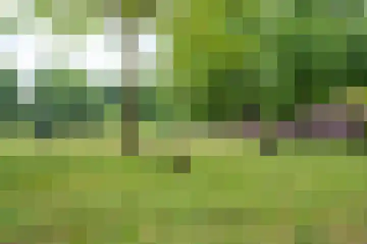 Réaumurlaan 12 2 Utrecht thumbnail 49