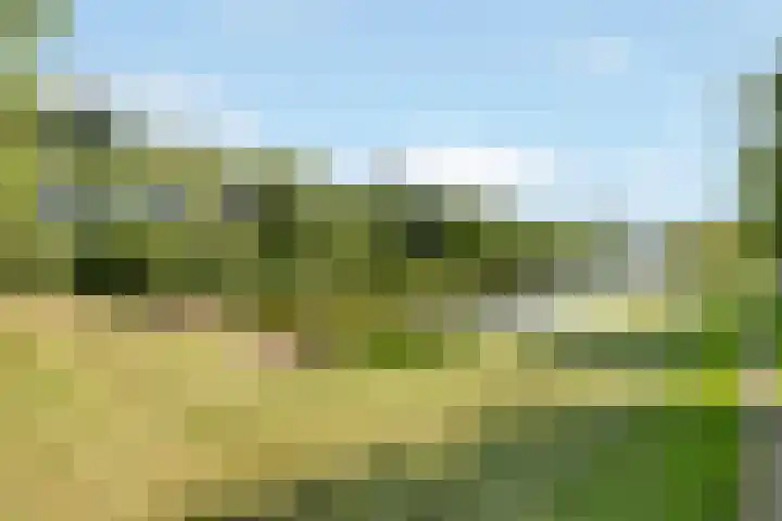 Reaumurlaan 16 Hilversum thumbnail 20