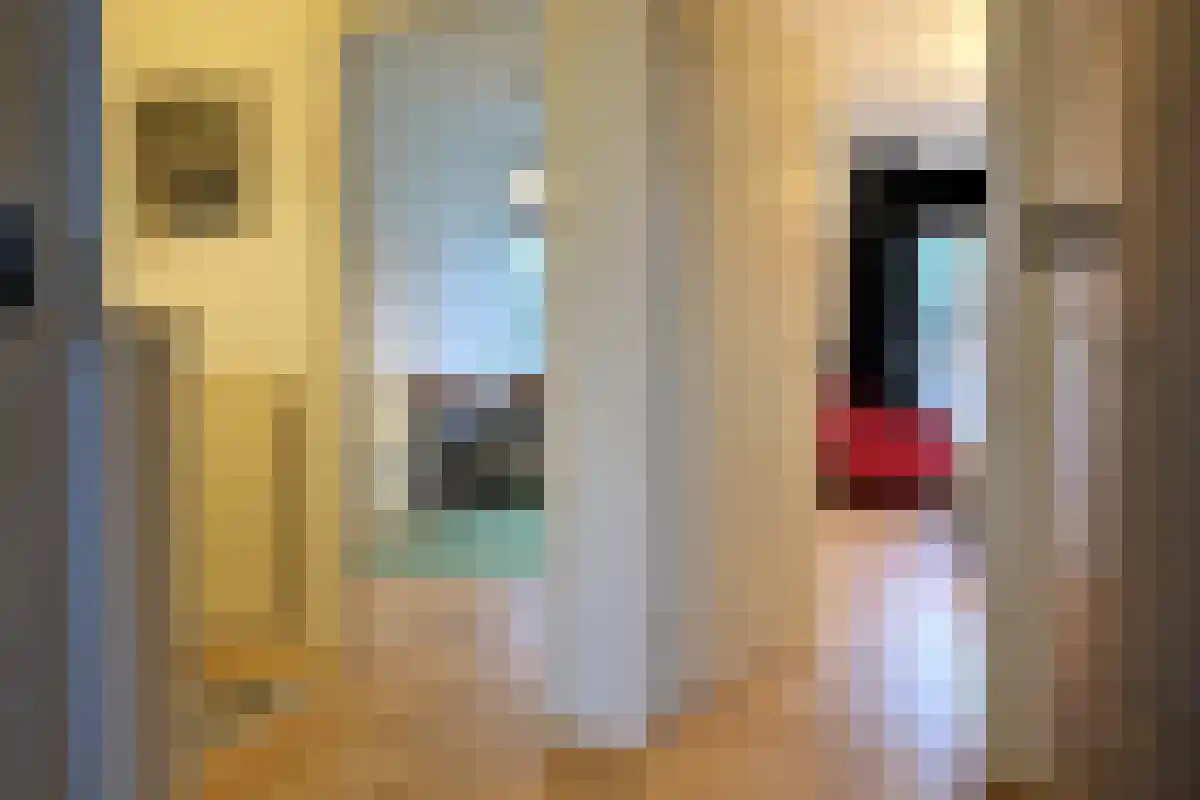Réaumurlaan 22 Utrecht thumbnail 6