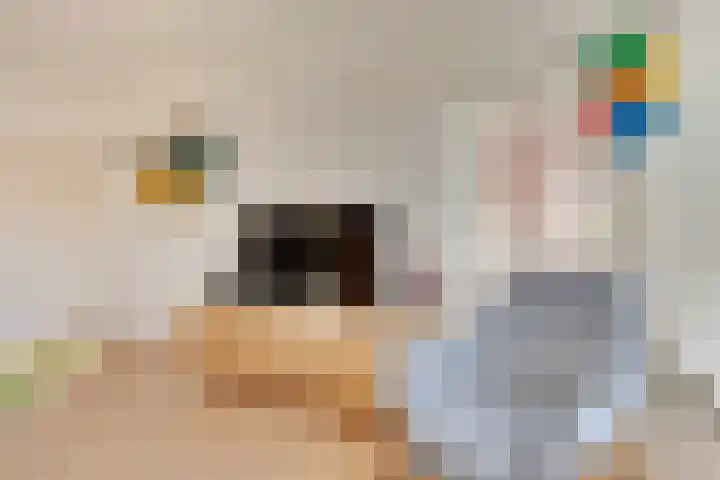 Réaumurlaan 24 1 Utrecht thumbnail 10