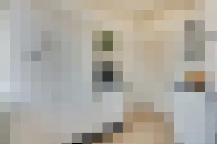 Réaumurlaan 24 1 Utrecht thumbnail 13