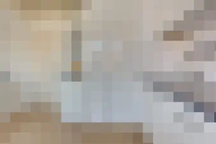 Réaumurlaan 24 1 Utrecht thumbnail 14