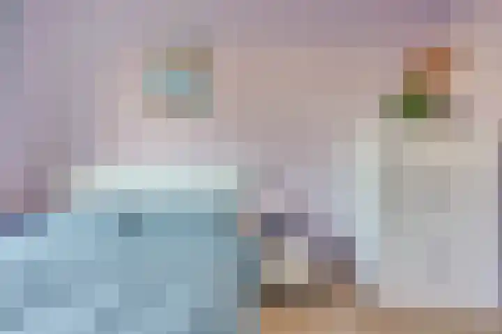 Réaumurlaan 24 1 Utrecht thumbnail 18