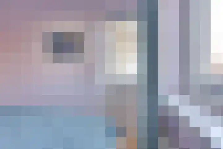 Réaumurlaan 24 1 Utrecht thumbnail 21