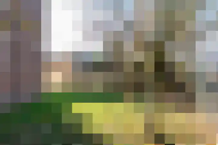 Réaumurlaan 24 1 Utrecht thumbnail 33