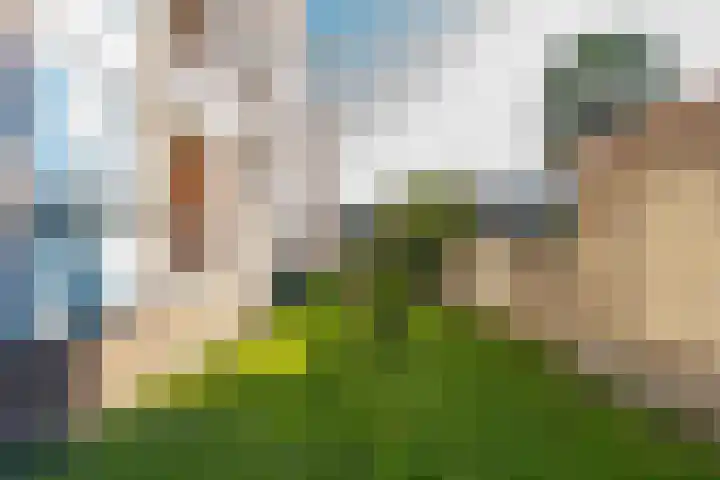 Réaumurlaan 24 1 Utrecht thumbnail 34