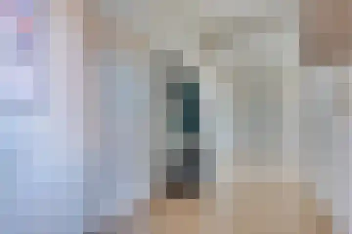 Réaumurlaan 24 1 Utrecht thumbnail 5