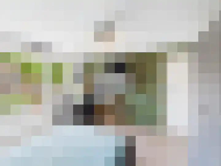 Reaumurstraat 30 Terneuzen thumbnail 23