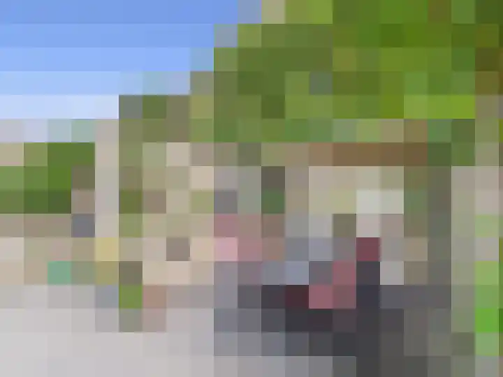 Reaumurstraat 30 Terneuzen thumbnail 51