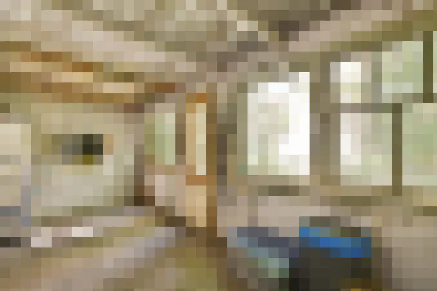 Réaumurstraat 38 Amsterdam thumbnail 30