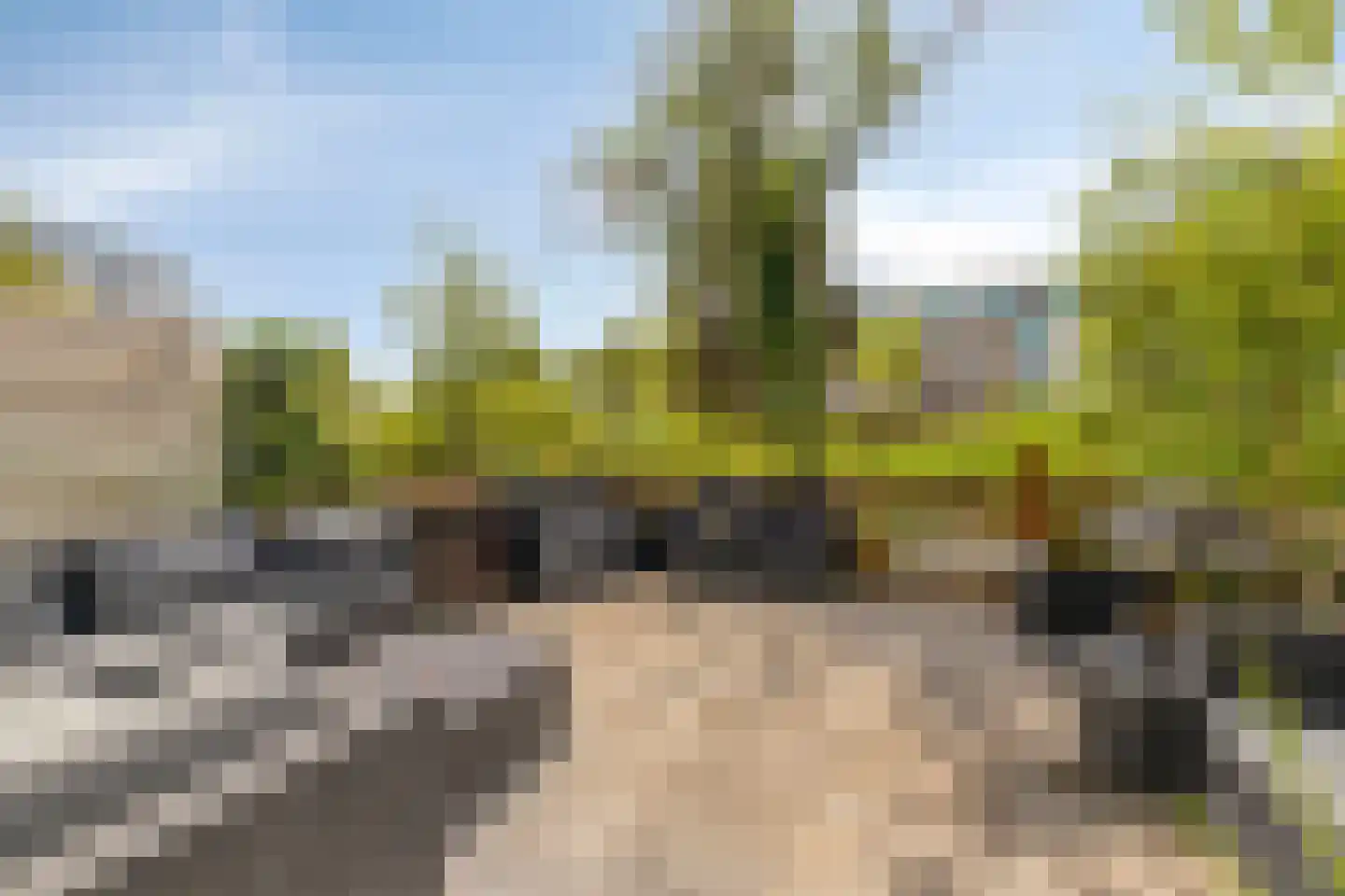 Reaumurstraat 63 Schiedam thumbnail 15