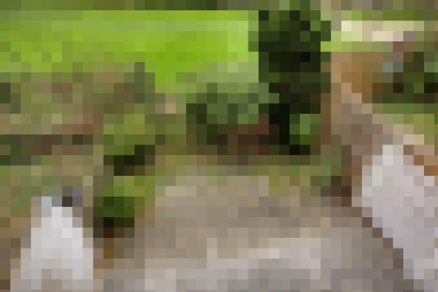 Reaumurstraat 65 Schiedam thumbnail 5