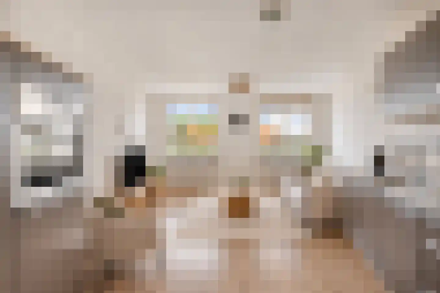 Reaumurstraat 7 Schiedam thumbnail 4
